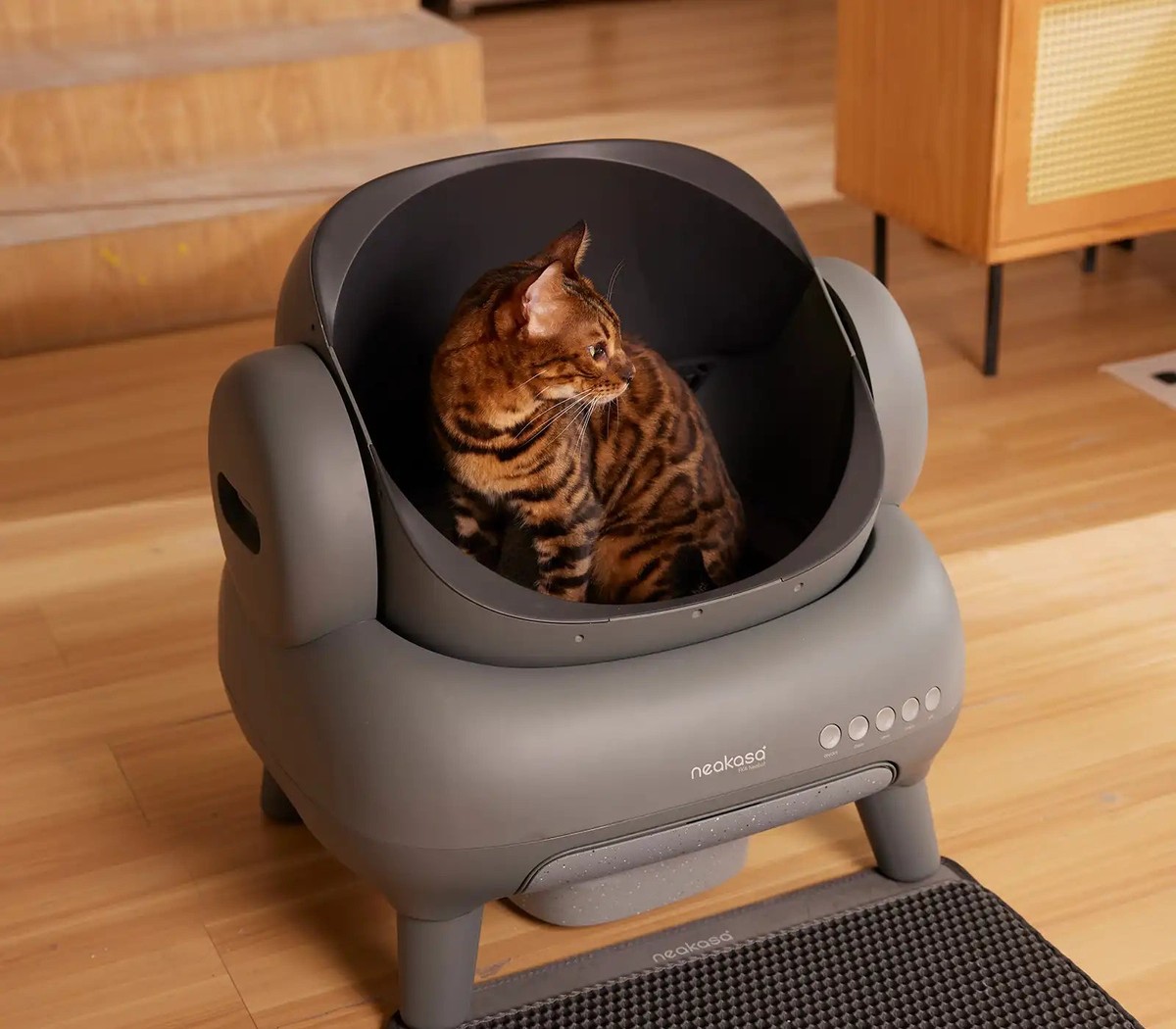 Neakasa M1 open-top automatic cat litter box